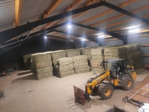 Große Halle mit Heuballen und gelbem JCB-Teleskoplader für Einlagerung bereit.