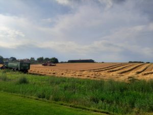 Roter Mähdrescher und grüner Traktor mit BRANTNER-Anhänger auf Acker bei Ernte.