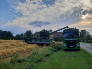 Grüner Mähdrescher tankt Getreide in MAN-LKW am Feldrand bei bewölktem Abendhimmel.