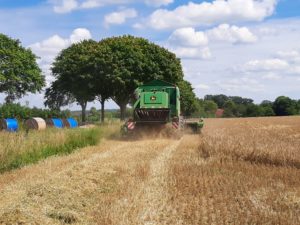 Grüner John Deere Mähdrescher erntet Getreidefeld, Bäume und landwirtschaftliches Anwesen.