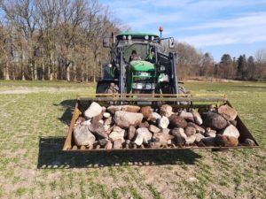 Grüner Traktor mit Steingabel lädt große Feldsteine auf Acker, Waldrand im Hintergrund.